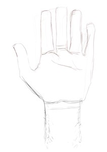 A sketch of my own hand. Notice the square-features. ManHand.kra